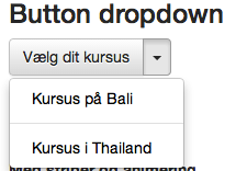button dropdown